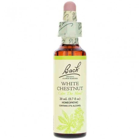 White Chestnut Flower Essence