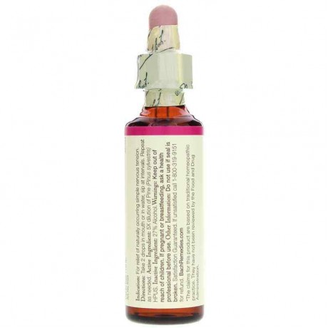 Pine Flower Essence, 0.7 Oz, Bach Flower Remedies