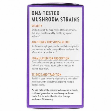 New Chapter Healthy Aging Reishi Mushroom Blend