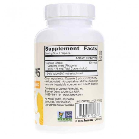 Jarrow Formulas Curcumin 95 500 Mg