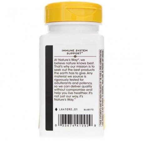 Zinc Lozenges Wild Berry Flavor